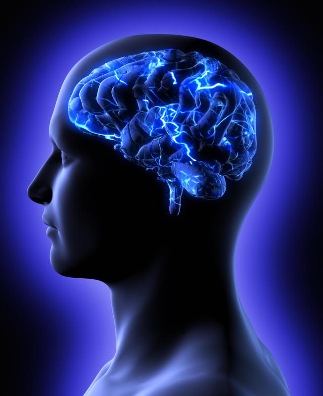 GABA promotes relaxation in the brain.