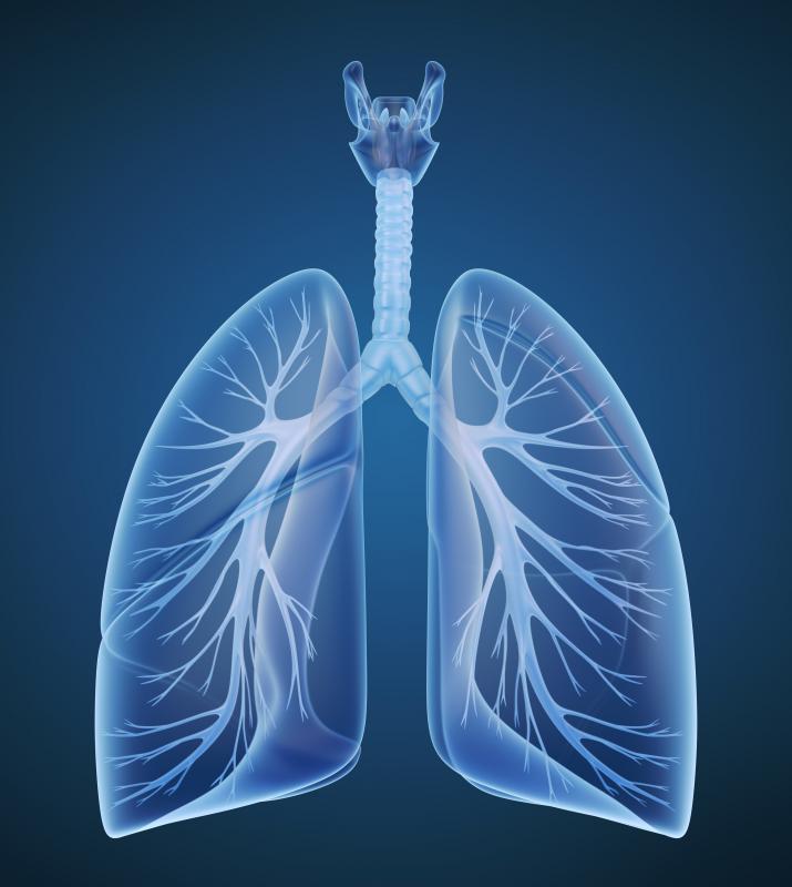 Hyperventilation occurs when short, rapid breaths are taken utilizing the lungs.