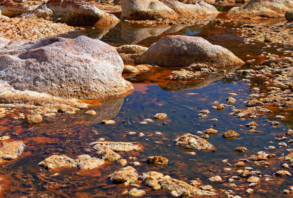 One of the domains in the three-domain system is Archaea, which contains members with no nuclear membrane, such as thermoacidophiles, which can be found in high-temperature, acidic water.
