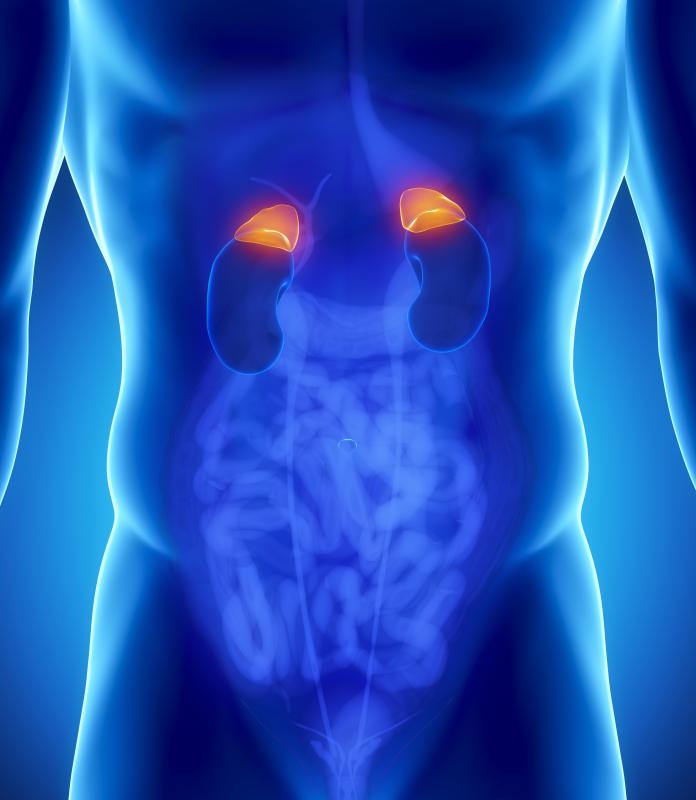 Addison's disease, an adrenal disorder, can cause bluish-black discoloration on the mouth, lips, nipples and other sensitive areas.