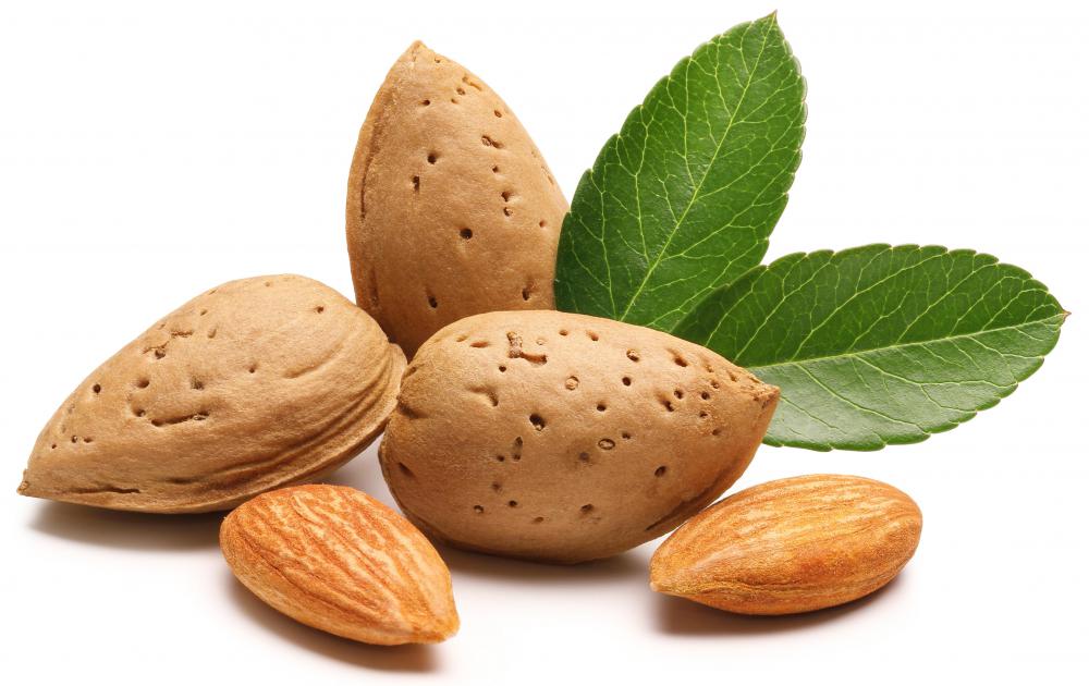 A pomologist researches almonds.