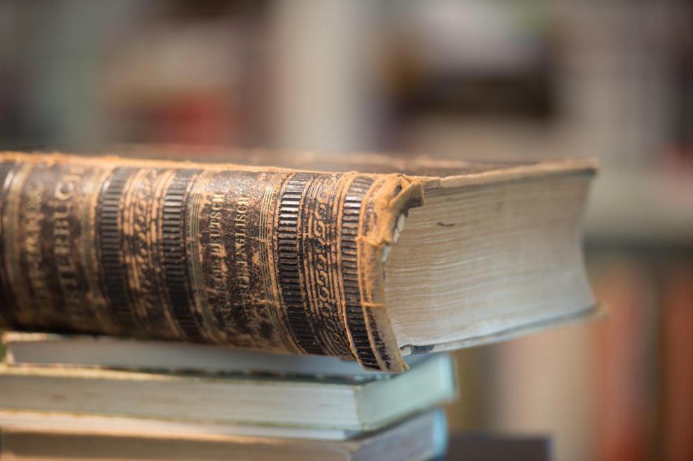 Redux first appeared as a literary term before becoming commonly adopted to describe a wide variety of disciplines.