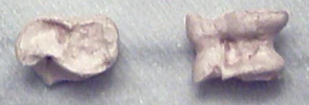Bones of animals were originally shaped for use in knucklebones.