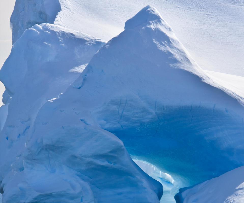 Antarctica is the coldest place on Earth.