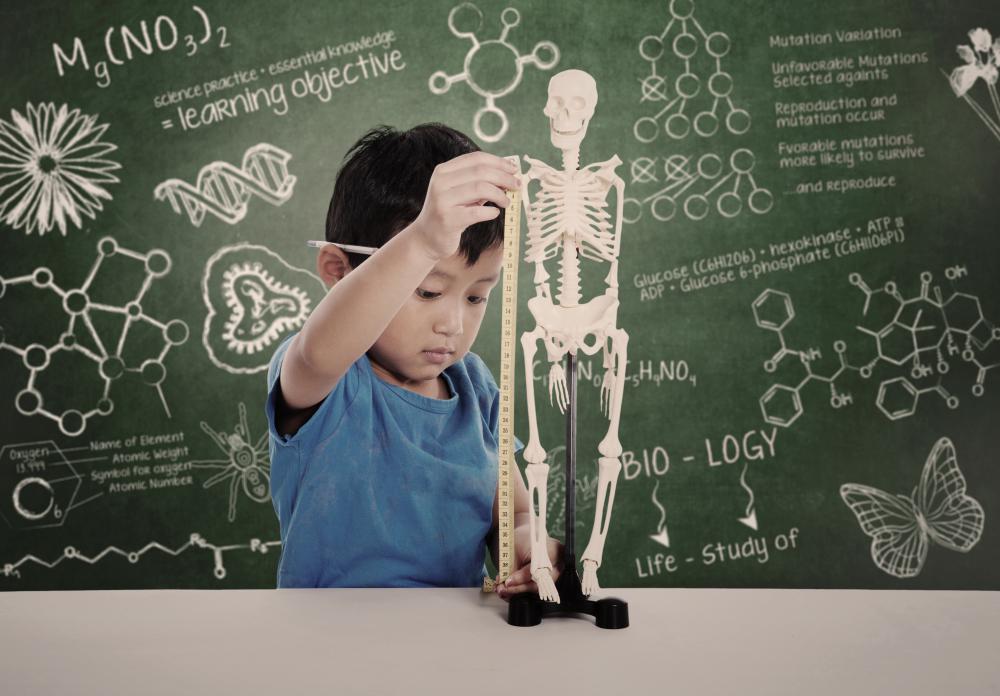 Someone who shows a particular aptitude for science might be called a "science nerd."