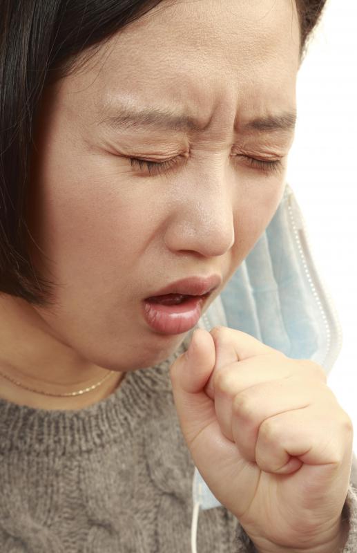 Excess blood and fluid in the pulmonary tissues can result in shortness-of-breath and a frequent, chronic, and unproductive cough.