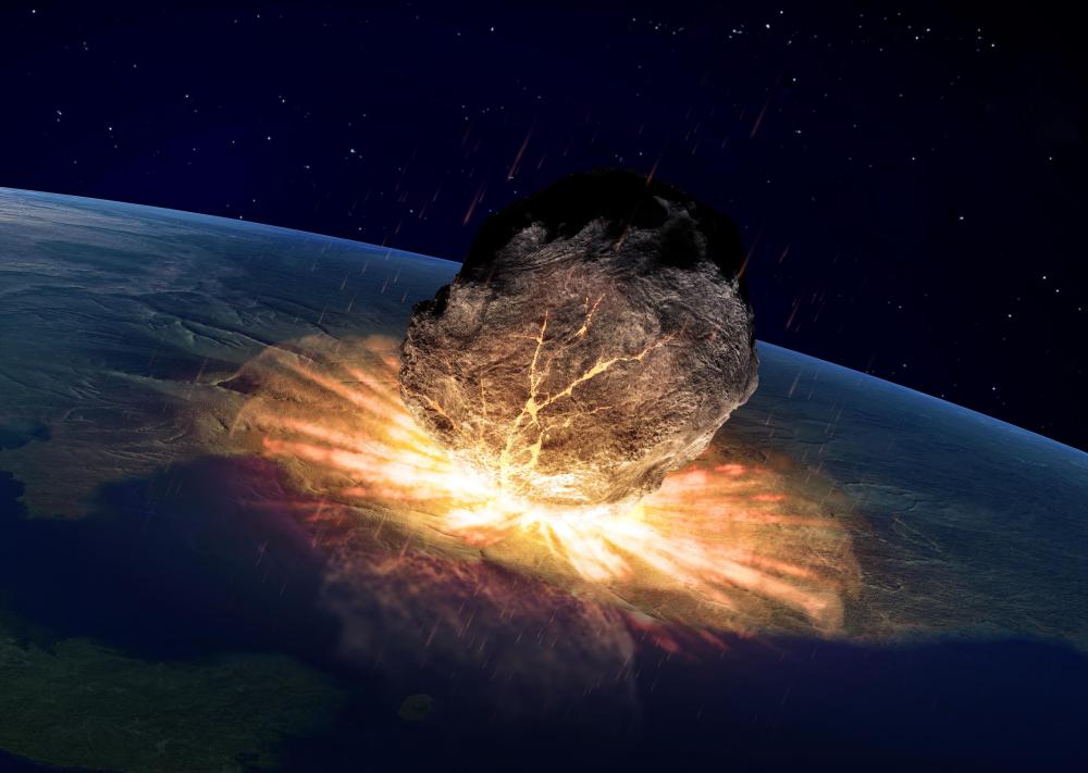 Miacids are believed to have evolved after an asteroid wiped out dinosaurs.