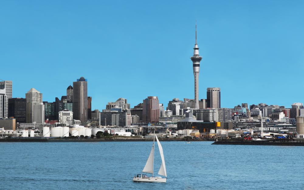 New Zealand has successfully implemented New Public Management strategies.