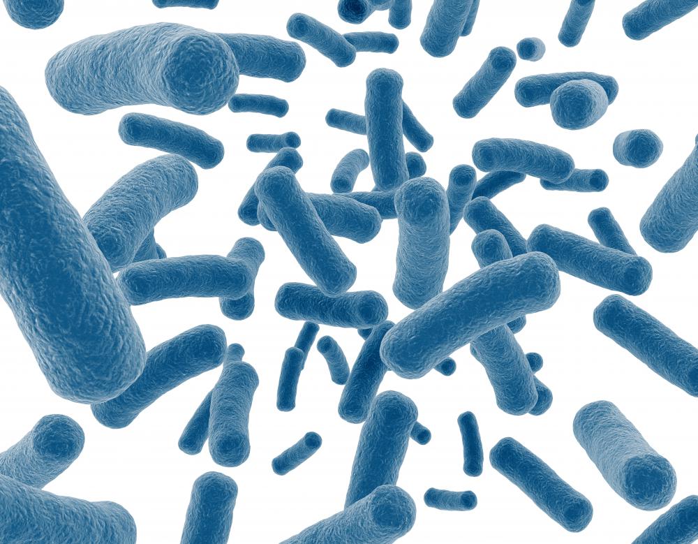 Eubacteria were classified as one of the six kingdoms before the introduction of the Woese system.