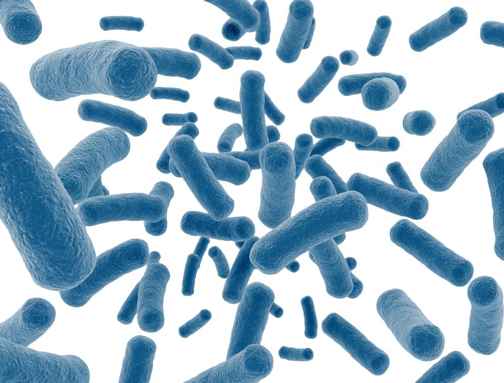 Bacterial organisms are present when someone becomes ill with a bacterial throat infection.