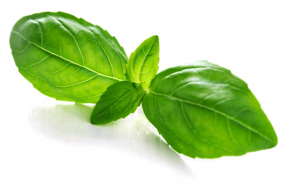 Basil can act as a natural antihistamine.