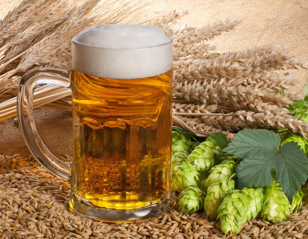 The high yeast content of beer can cause negative reactions among those with yeast intolerances.