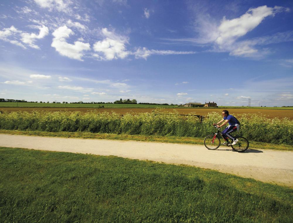 Biking regularly is one way to condition the body.