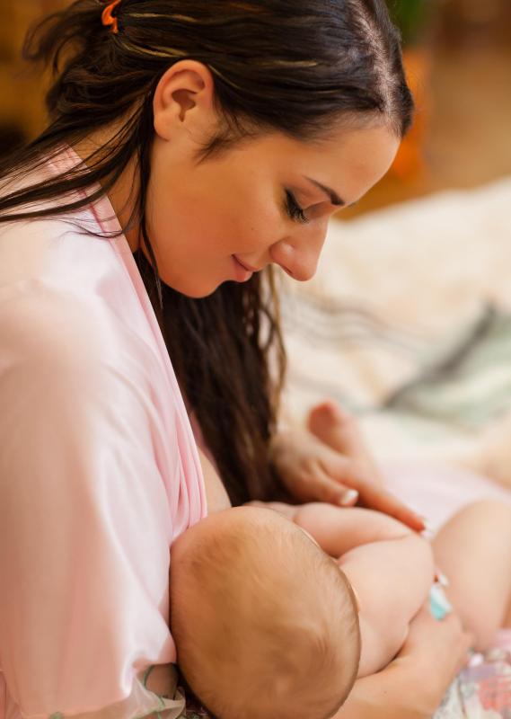 Fenugreek has been used to help increase production of breast milk.