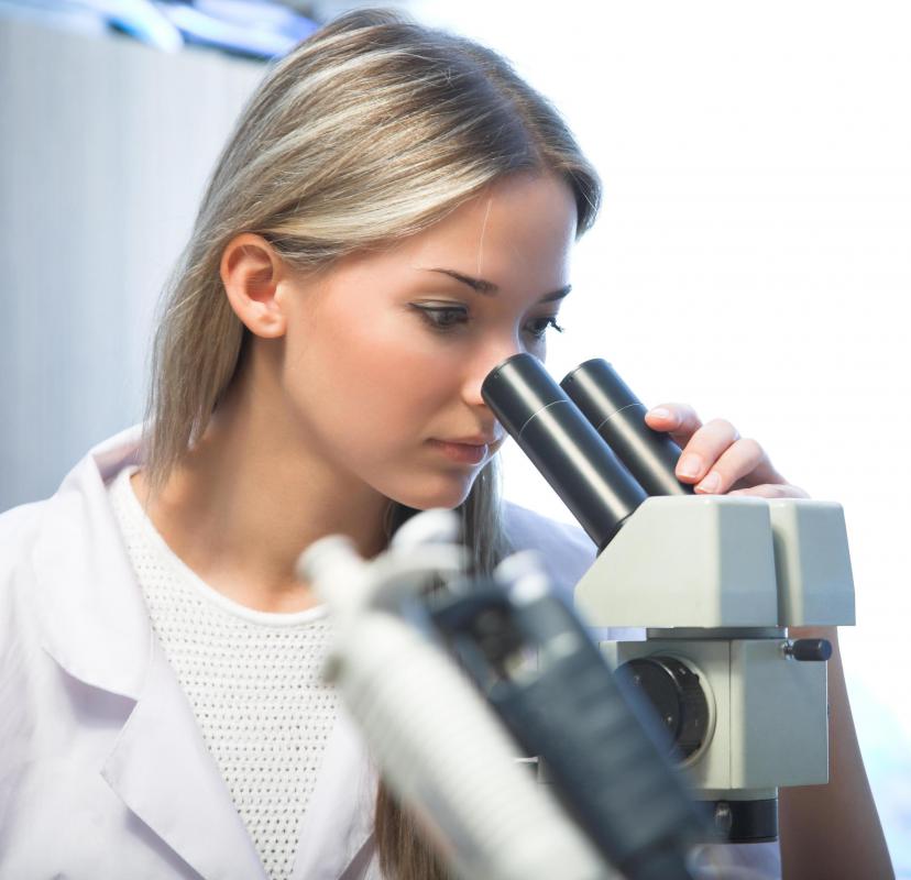 The transparency of most amoebas makes them ideal subjects for microscopic study.