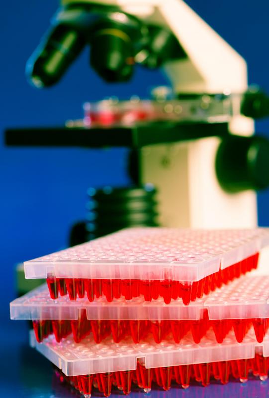The only way to screen for hepatitis is through a blood test.