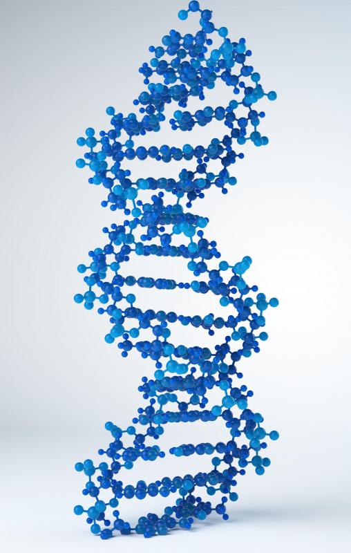 MRNA is a template created from DNA.