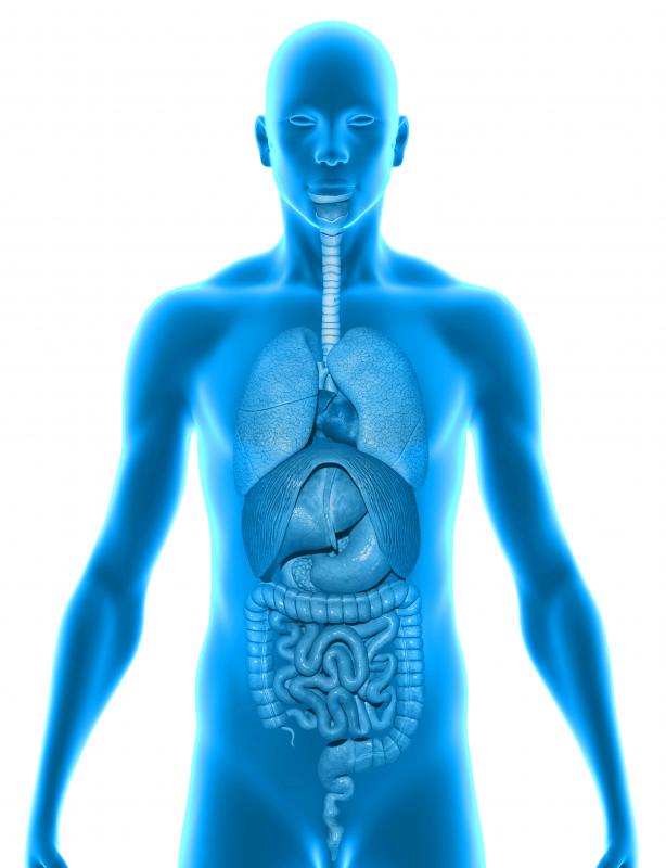 3D computer medical diagrams are a form of art that can be used for education.