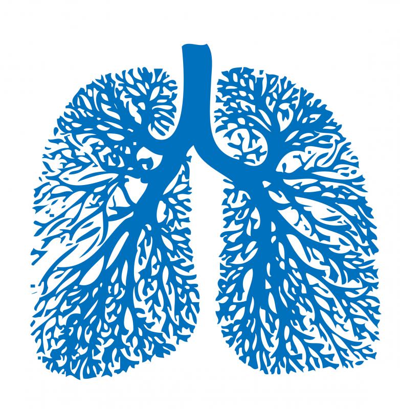 Peribronchial cuffing occurs when the bronchial passages of the lungs thicken with mucus.