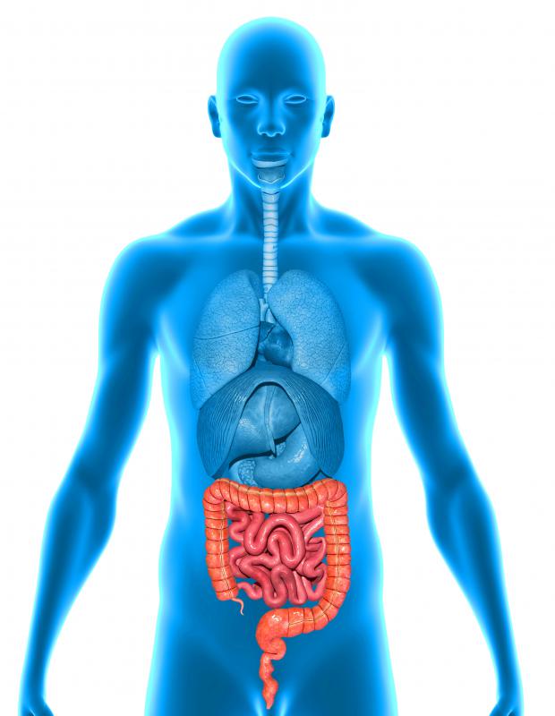 People may reduce their risks of a fissure-in-ano by eating a diet high in fiber to keep the intestinal tract healthy.