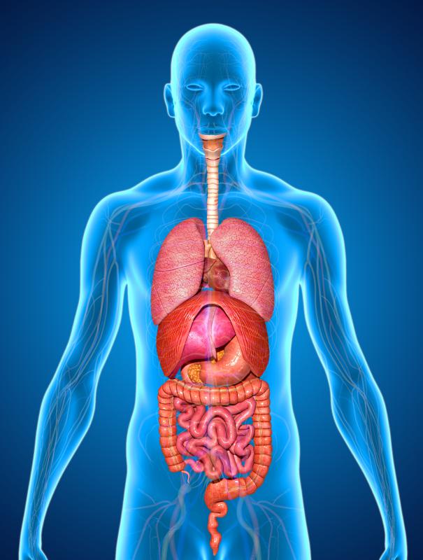 Problems with the kidneys, heart, or liver may cause bloating.