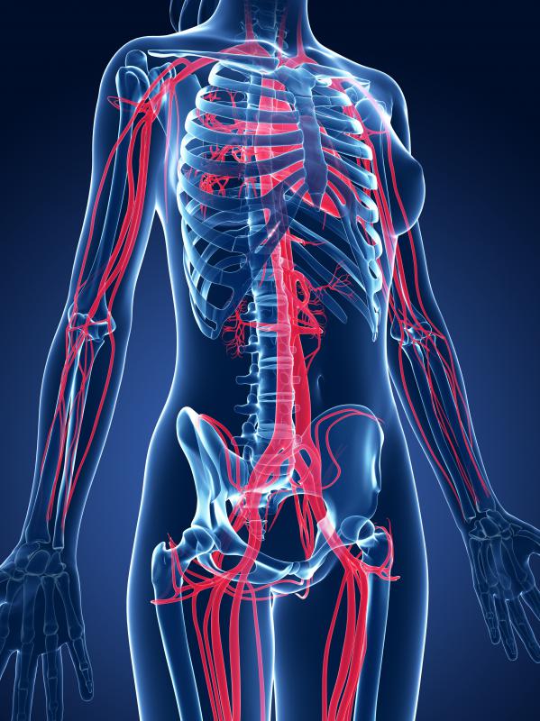 It's important to try to maintain good circulation throughout the entire body.