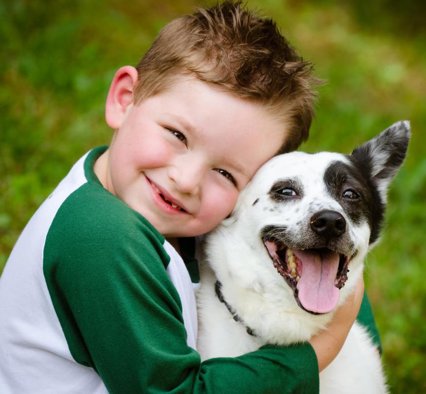 Dogs often provide a calming effect to their owners.