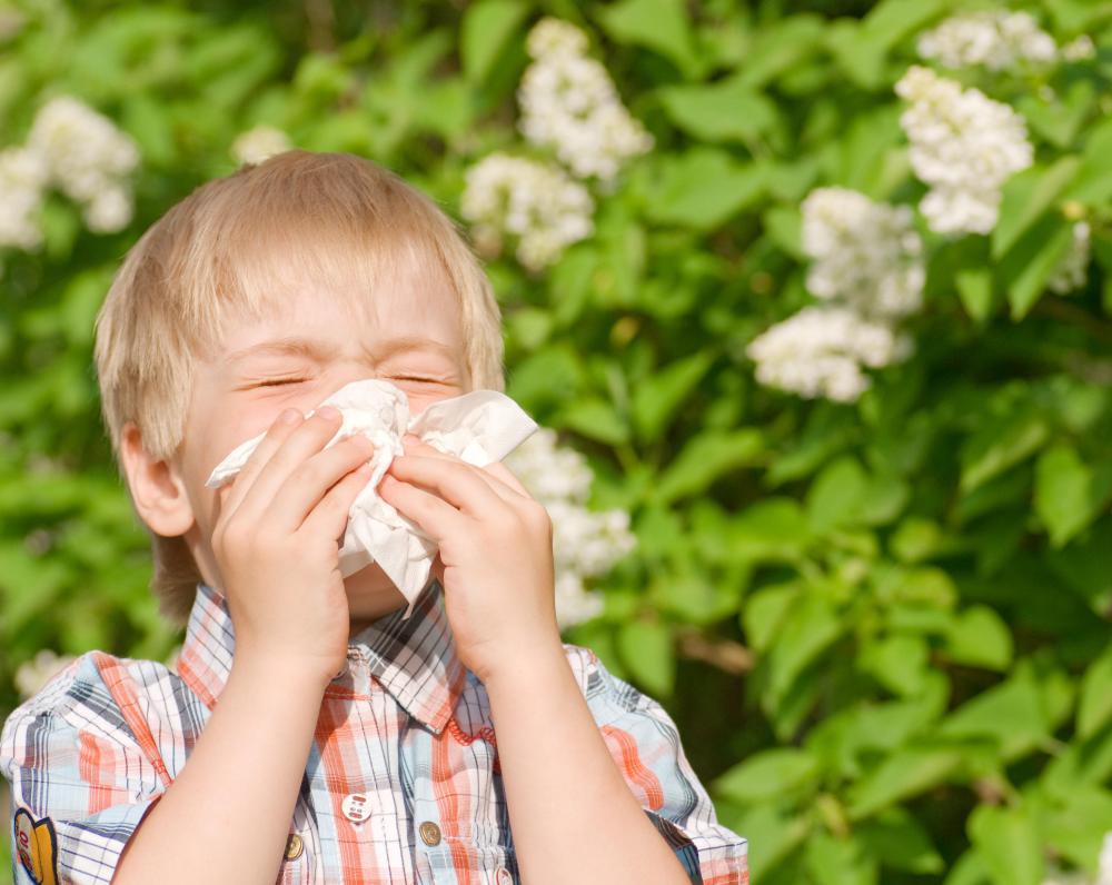 A delayed allergic reaction begins between two and three days after exposure to an antigen.