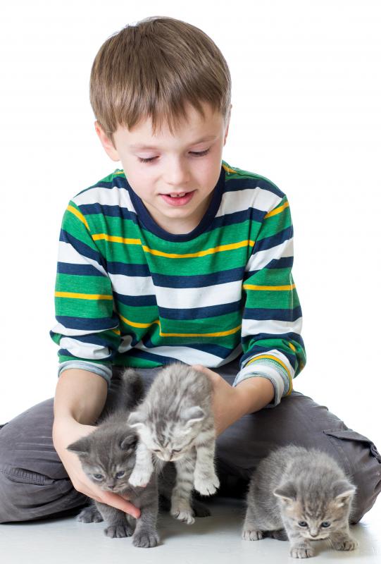 It is easier for children to grow out of cat allergies.