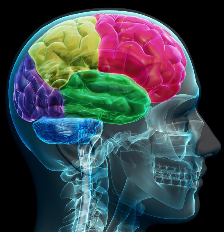 Traumatic brain injuries can have adverse effects on the insula.