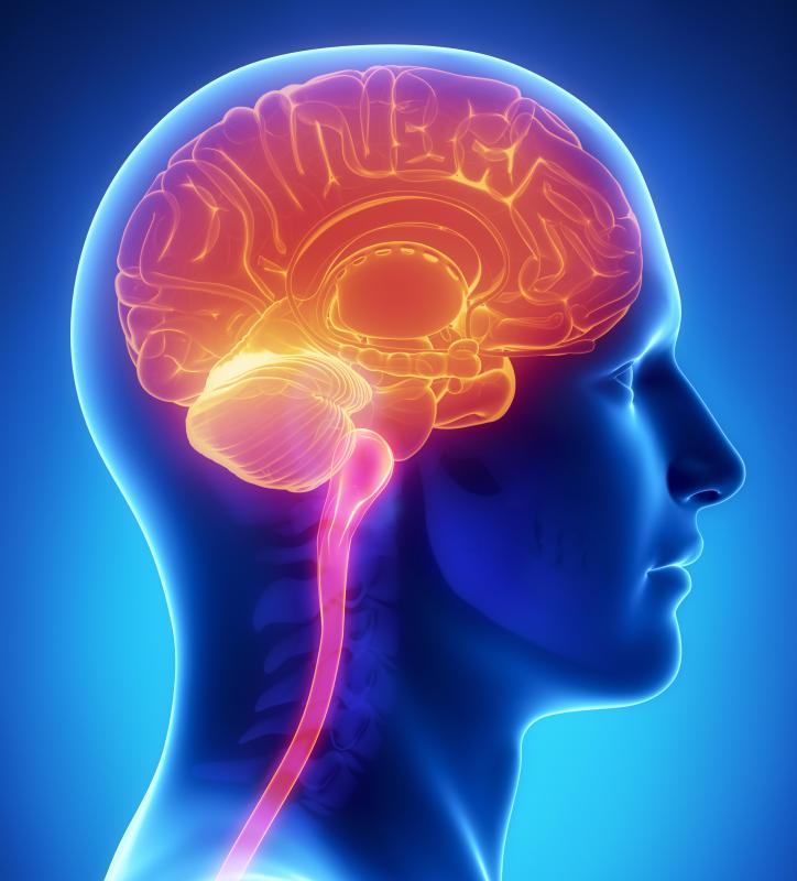 Untreated syphilis may result in brain damage.