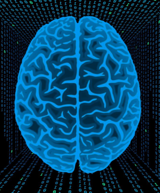 Different parts of the brain respond when confronted with the Stroop test.