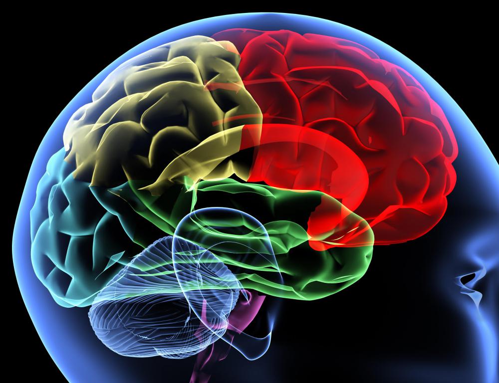 Mushrooms may help delay or totally prevent Alzheimer's.