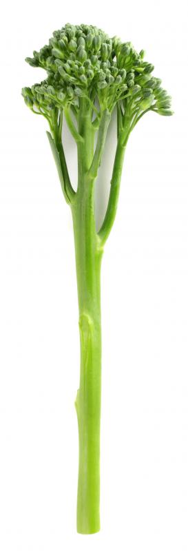 Broccolini, a hybrid crop.