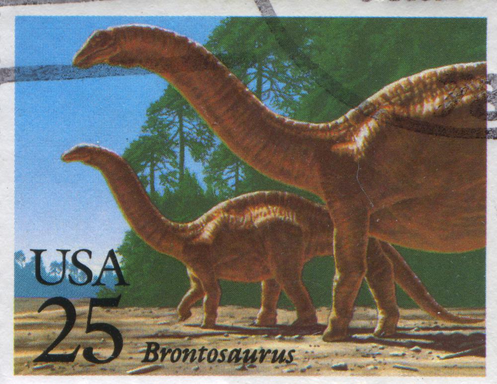 The name "brontosaurus" was misapplied. We now know that these long-necked giants were apatosaurs.