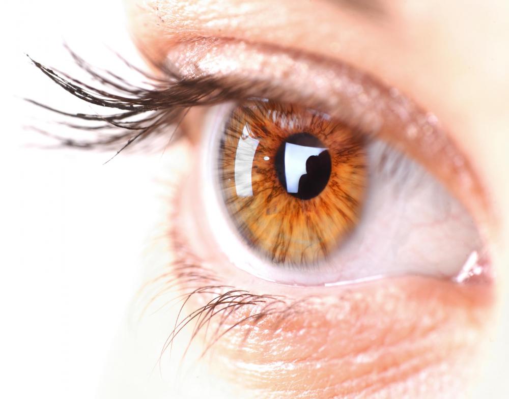 Tear ducts are an example of an exocrine gland.