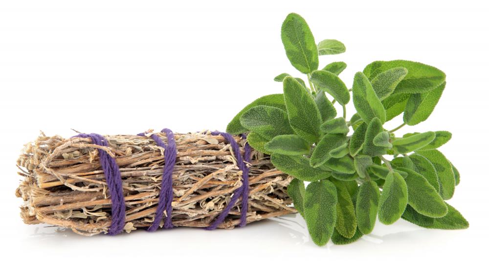 Sage may be purchased in a bundle at Native American or New Age stores.