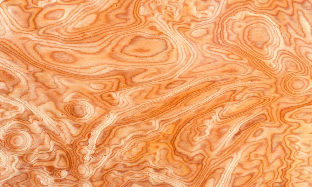 Burl wood often results because a tree has experienced some type of environmental stress.