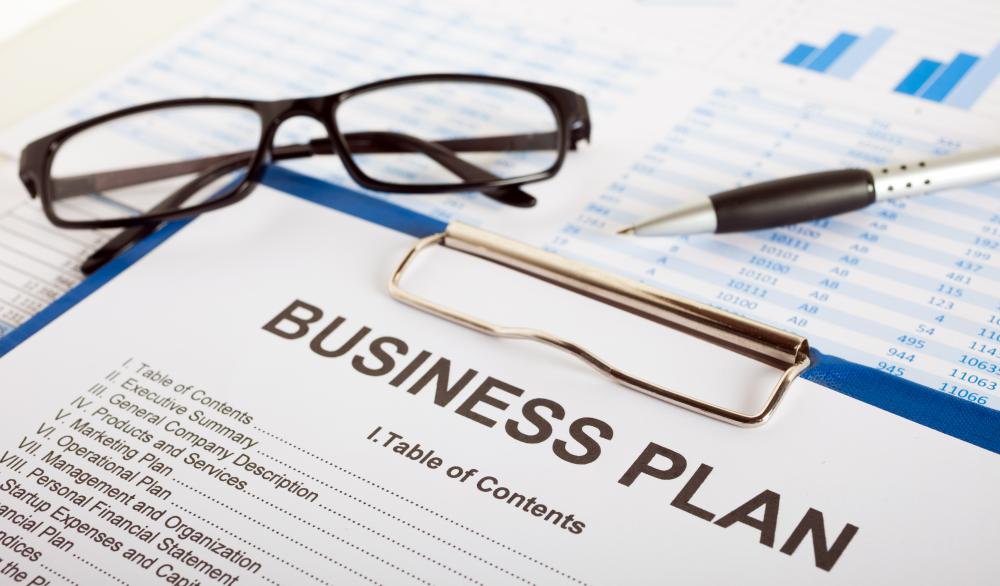 Establishing a business plan outlines the mission and purpose of a business venture.