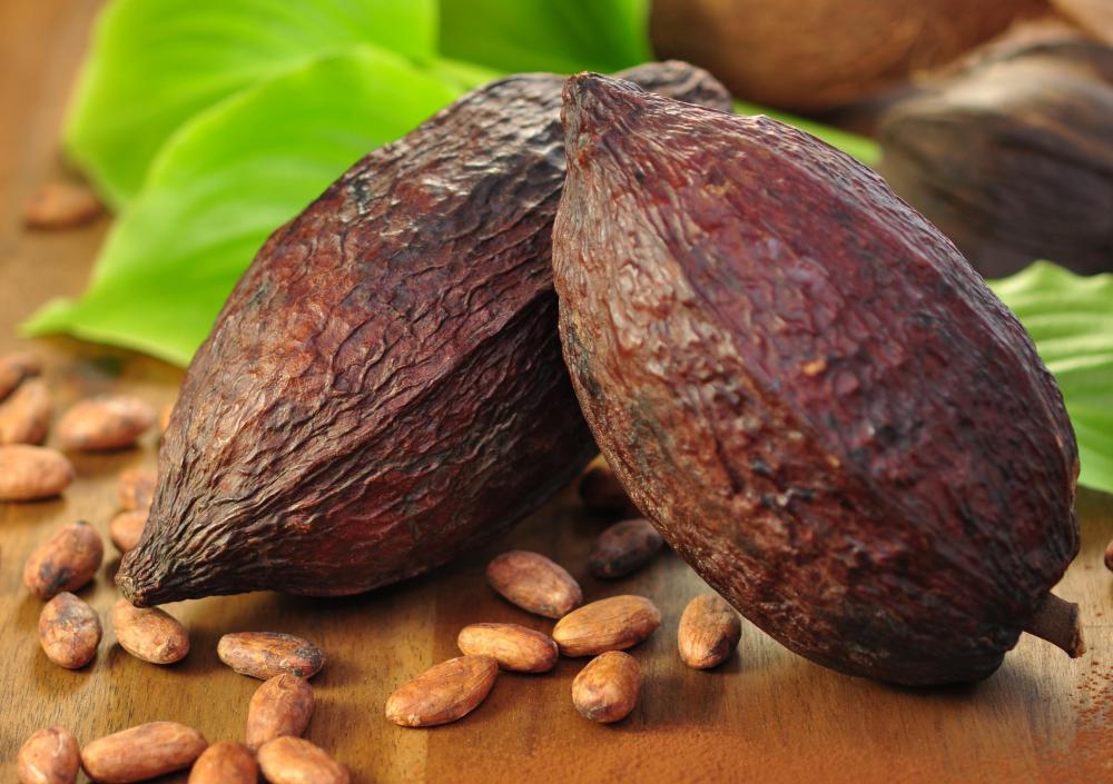 Caffeine serves as natural pest control for cacao trees.