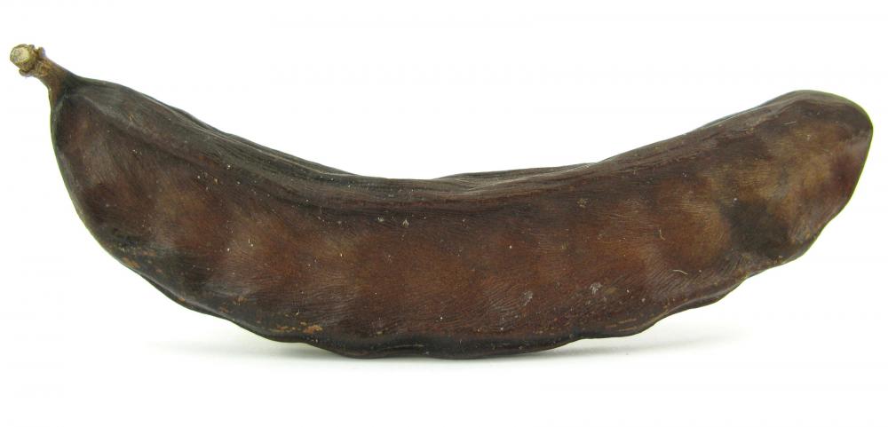 The powder form of carob can soothe diarrhea symptoms.