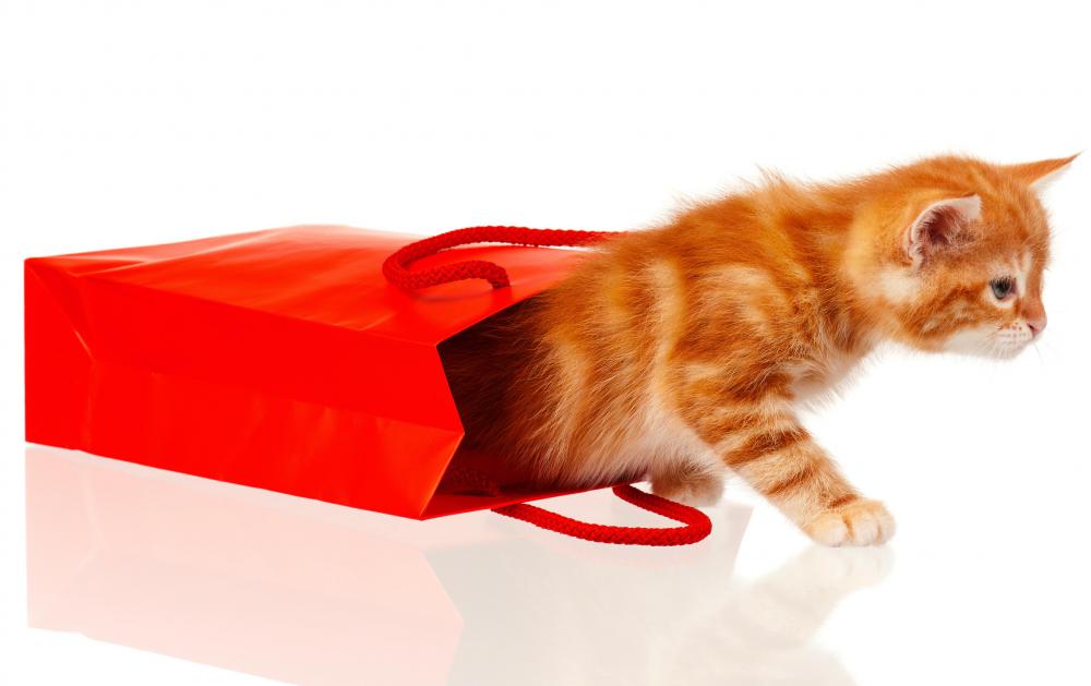 The origins for "let the cat out of the bag" go back as far as the Middle Ages.