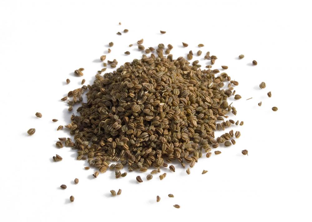Celery can be consumed in its seed form.