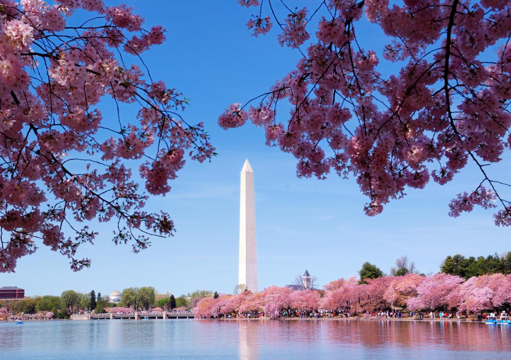The Washington Monument borders the eastern side of the mall.