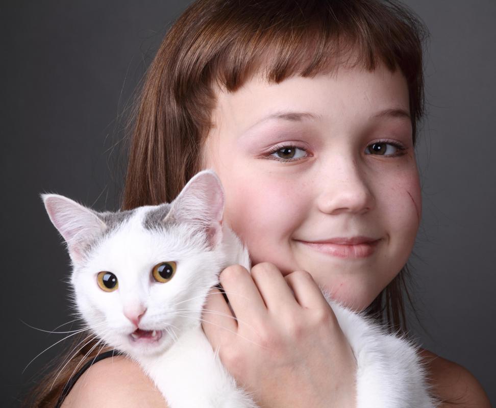 The affection that pets provide can help reduce stress.