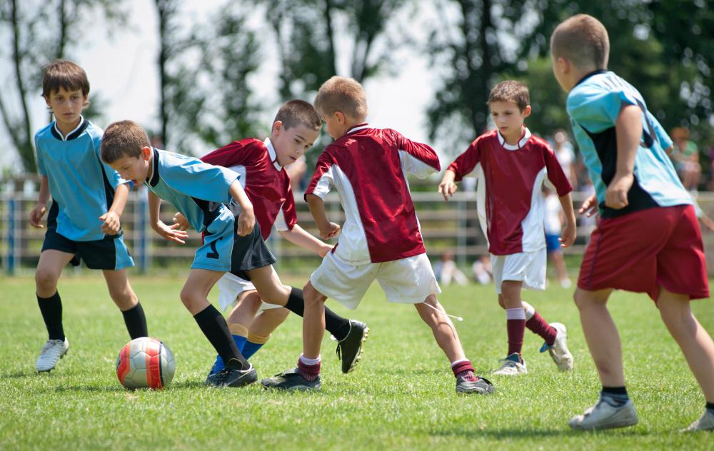 Most voluntary muscles are connected to bones and help people move around.