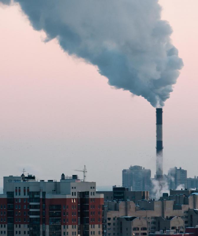 Environmental sanitation includes actions geared toward improving air quality and curbing pollution.