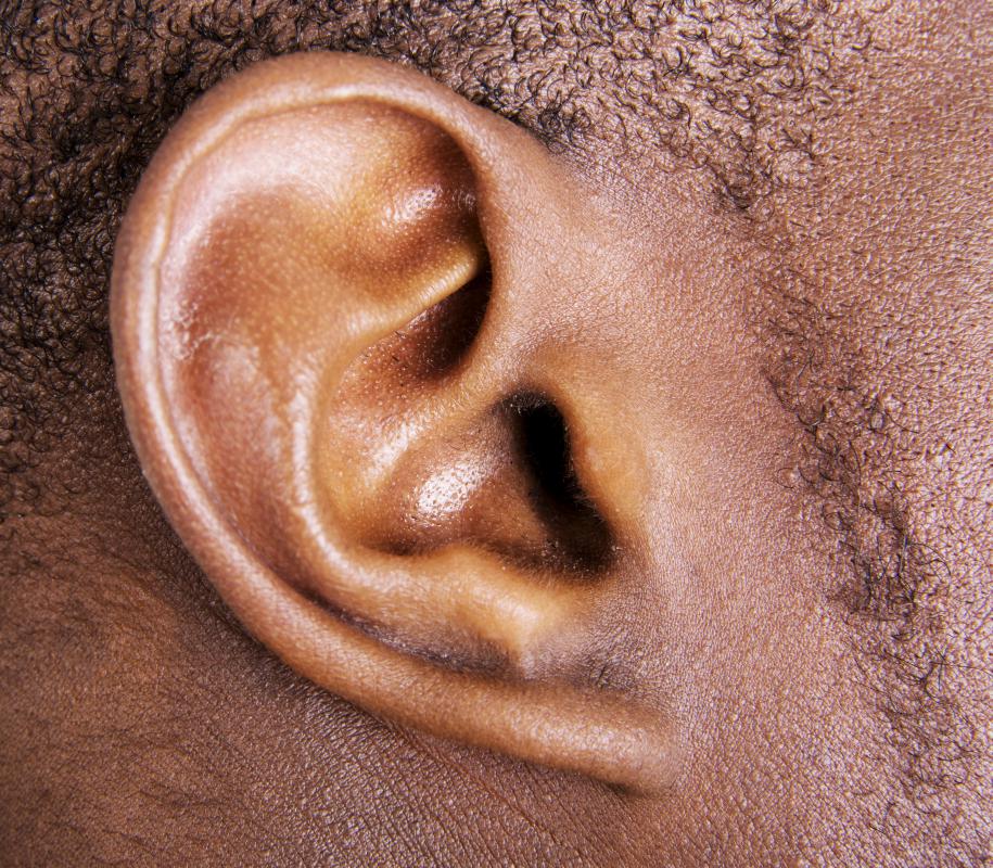 The brain turns noise into something it understands through auditory perception.
