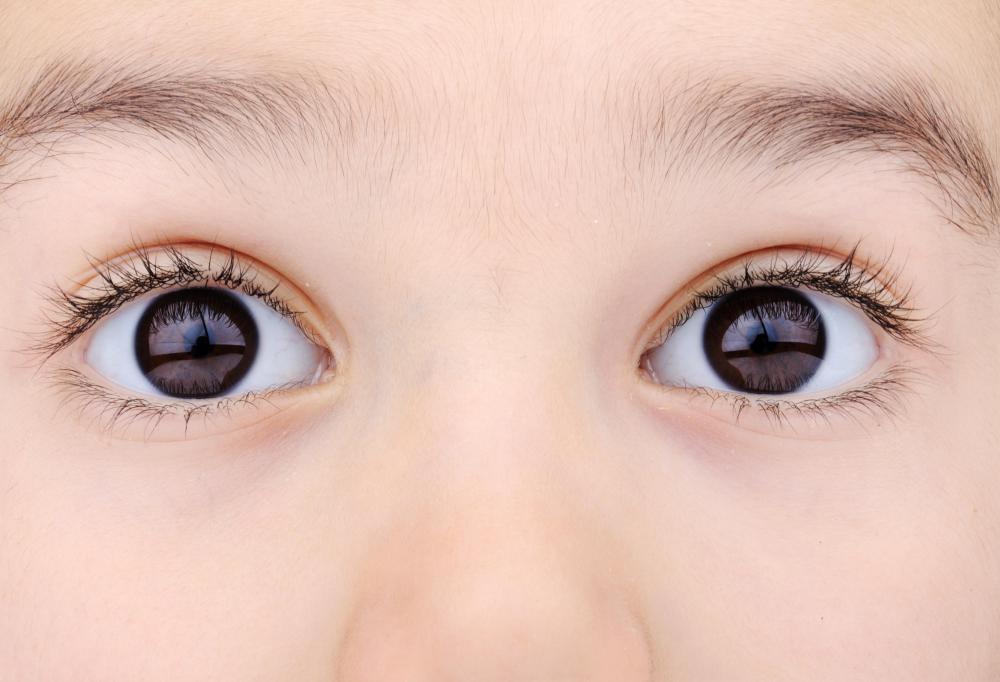 The somatic nervous system controls involuntary actions such as blinking.