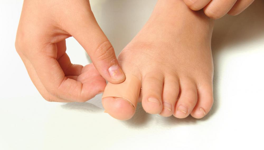 The big toe contains two phalanges.